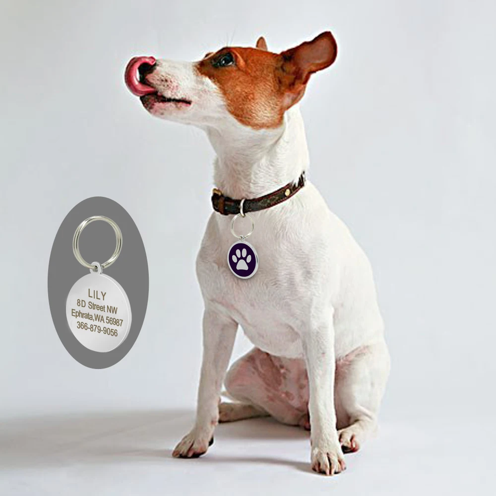 Placa de identificación de acero inoxidable para perro, placa redonda personalizada, accesorios de Metal para mascotas, 8 colores - imagen 3