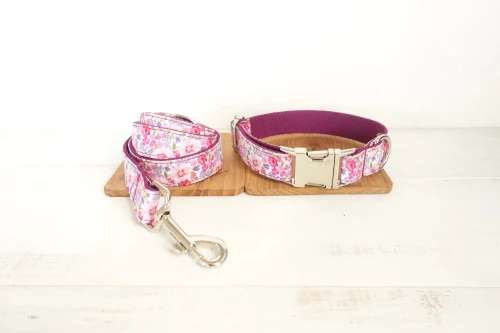 Dog Collar Leash Set