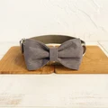 Dog Collar Bow Tie