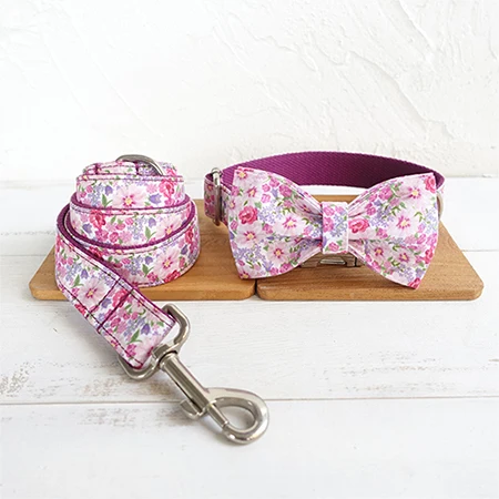 Bow Tie Collar Leash