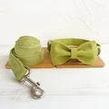 Bow Tie Collar Leash