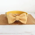 Dog Collar Bow Tie
