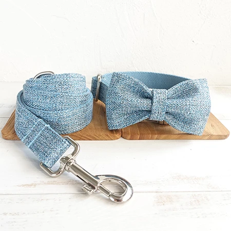 Bow Tie Collar Leash