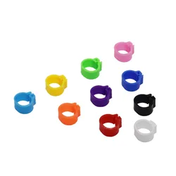 100 Uds diámetro interior 8MM 10MM pájaro plástico Clip anillos Paloma color pie anillo 10 colores suministros para Palomas