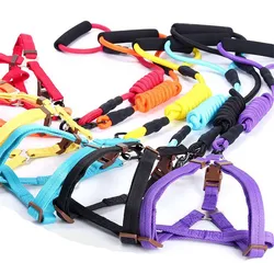 Set de accesorios ajustables para perros y gatos: correa, collar y arnés