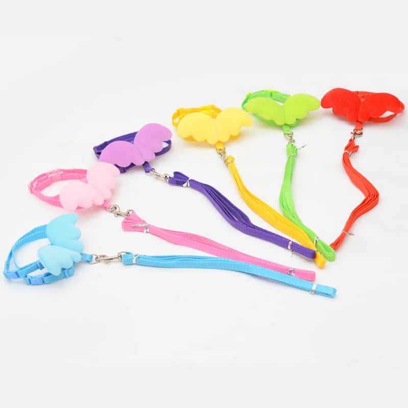 Conjunto de arnés y correa ajustable para perros y gatos pequeños, Collar de correa de nailon con ala de Ángel, correa para caminar para mascotas - imagen 5