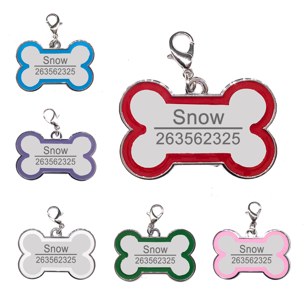 Collar perro PAWFECT - Vista principal del producto