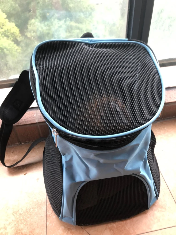 Mochila Perro Malla Verano - uso en cachorro