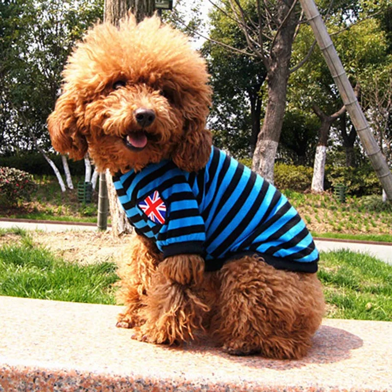 Chaleco de Verano Rayas para Mascotas Pequeñas - imagen 4