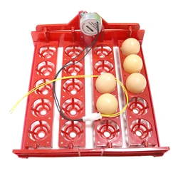 Incubadora automática de 20 huevos con bandeja giratoria - 220V/110V/12V