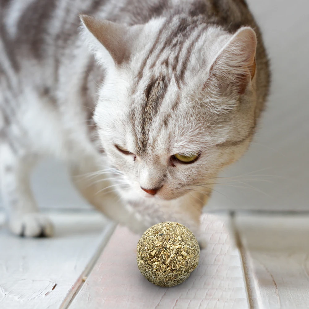 Bola Natural de hierba gatera para gato, juguete de percha para el hogar, saludable, seguro, tratamiento comestible - imagen 3