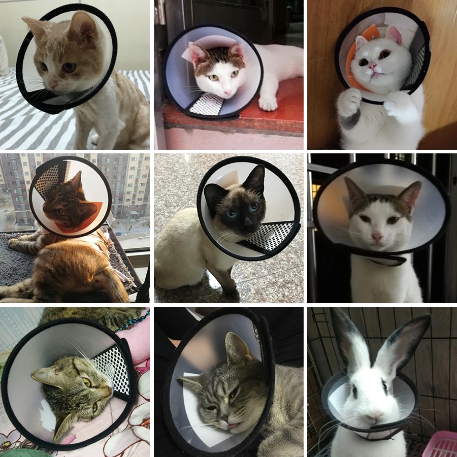 Cubierta postoperatoria para el cuidado de mascotas, accesorios para gatos, cono curativo para heridas, Collar para perro, Protector para Gato Kedi, suministros para Mascotas - imagen 3