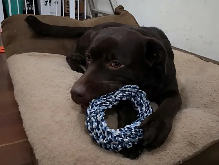 O1CN01mSh77Y1m2s0jq3Ju1_!!0-rate