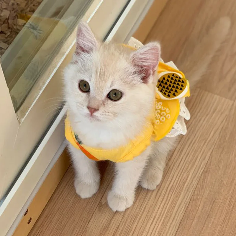 Vestido de algodón de verano para gatos, falda con estampado de cereza y piña, ropa para mascotas, vestidos para gatos, perro Sphynx, kedi elbisesi, ropa para gatos - imagen 3