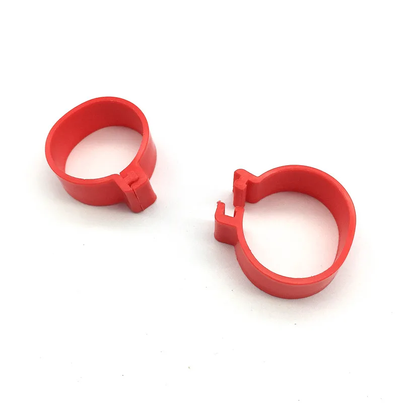 Anillo de pie de pollo ID2.0cm, identificación de aves de corral, pato, pavo, equipo de alimentación de aves, herramienta de gestión Animal, 1000 piezas - imagen 3