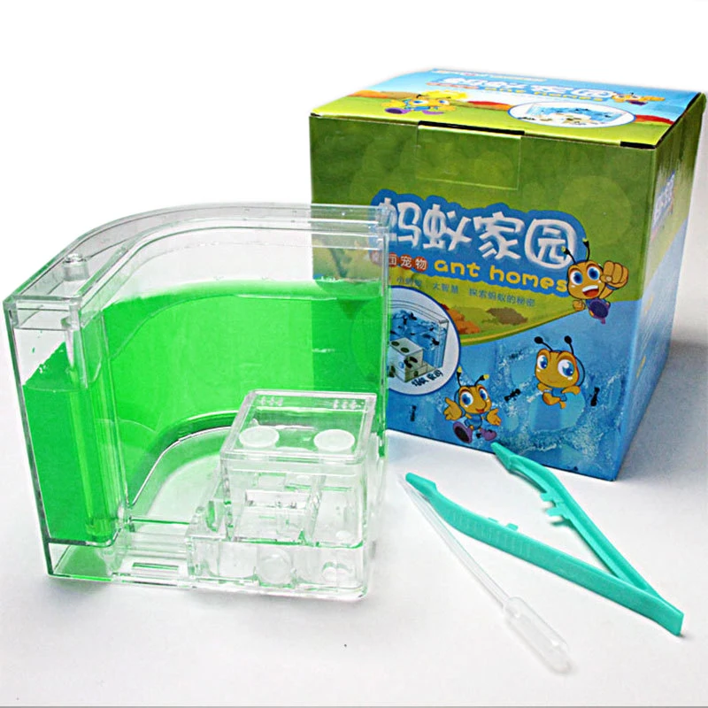 Casa de hormigas acrílicas para niños, Terrario de insectos coloridos, caja de insectos, guardería, juguete ecológico, modelo educativo - imagen 5
