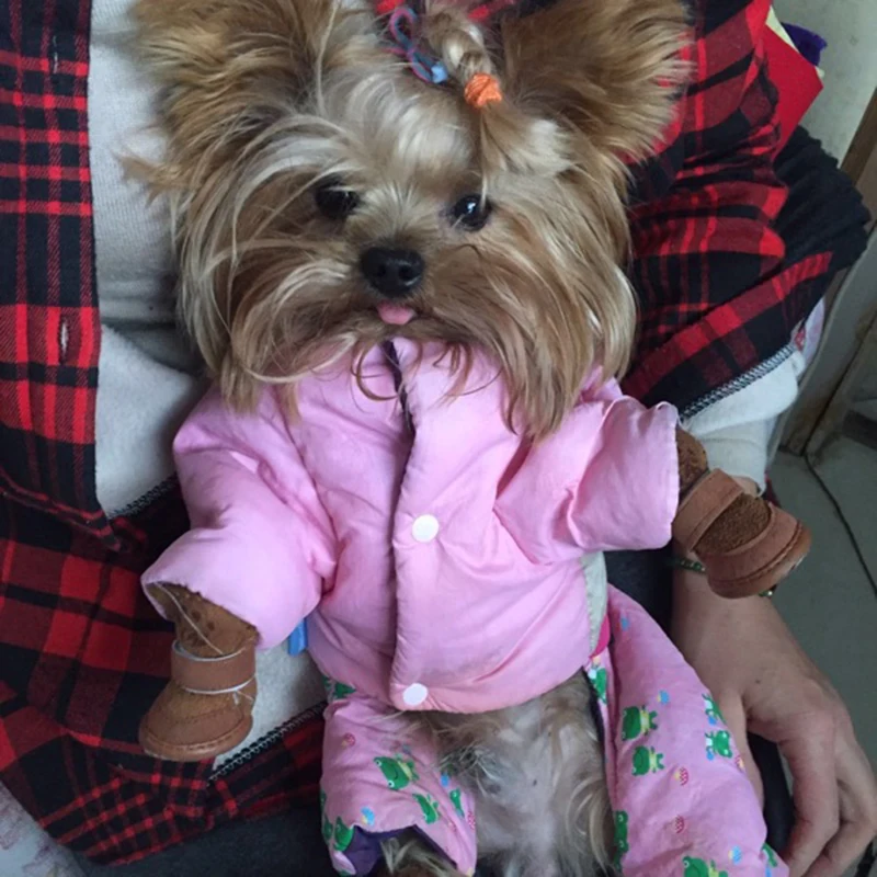 TB2FcnyegLD8KJjSszeXXaGRpXa_!!0-rate