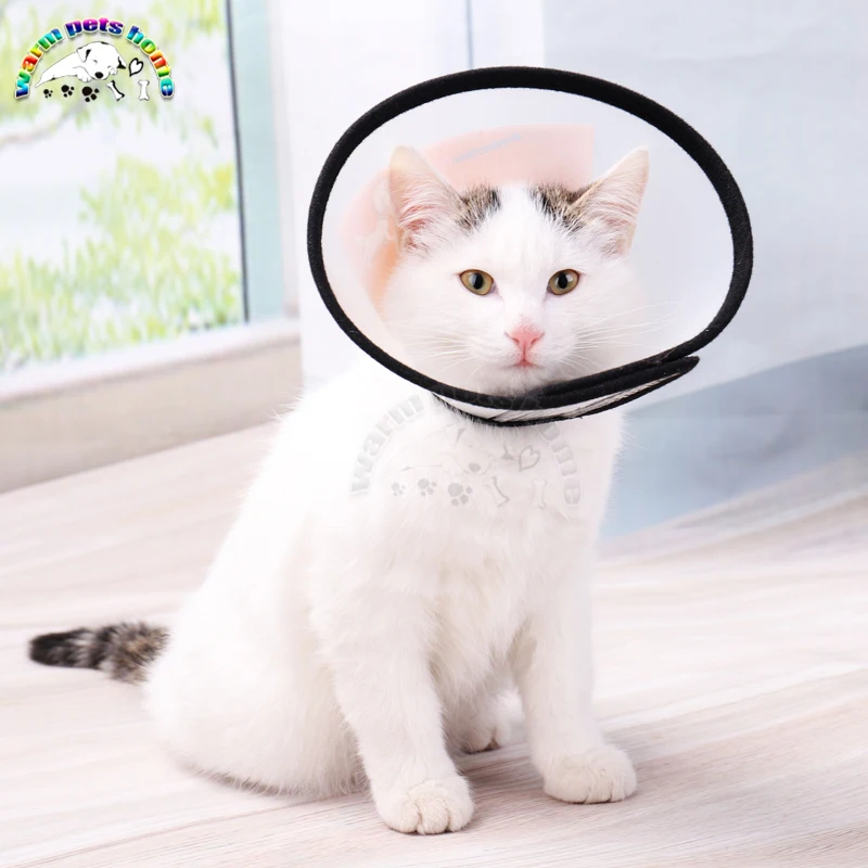Collar protector para mascotas, cono de recuperación para cuello de perro, antimordedura, lamer, cirugía, curación de heridas, gato, círculo médico, 10 Uds. - imagen 3