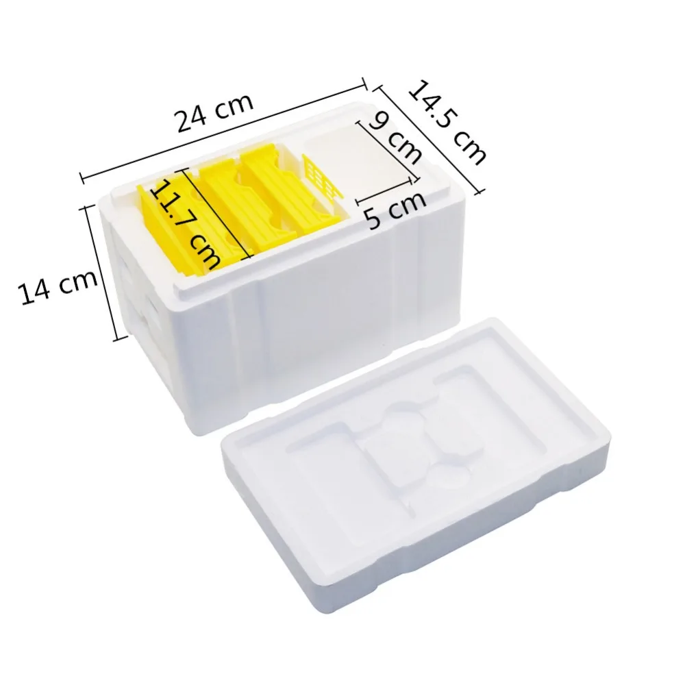 Caja de polinización de espuma para cría de abejas reina, colmena, herramienta de apicultura, caja de espuma para cría de abejas, Kit de equipo de apicultura, 1 Juego