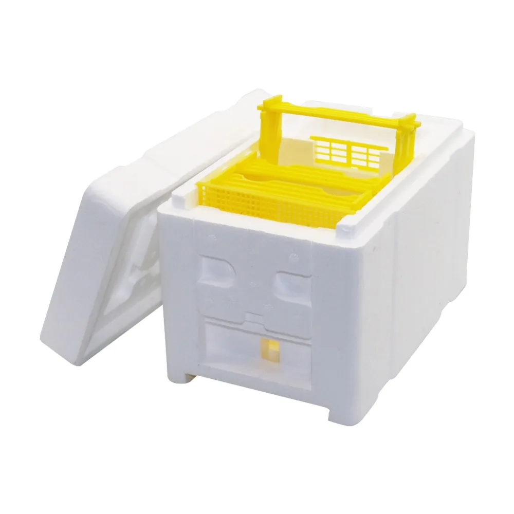 Caja de polinización de espuma para cría de abejas reina, colmena, herramienta de apicultura, caja de espuma para cría de abejas, Kit de equipo de apicultura, 1 Juego