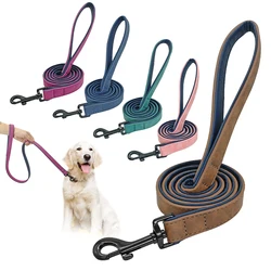 Correa de cuero acolchada para perros medianos y grandes - 2 capas