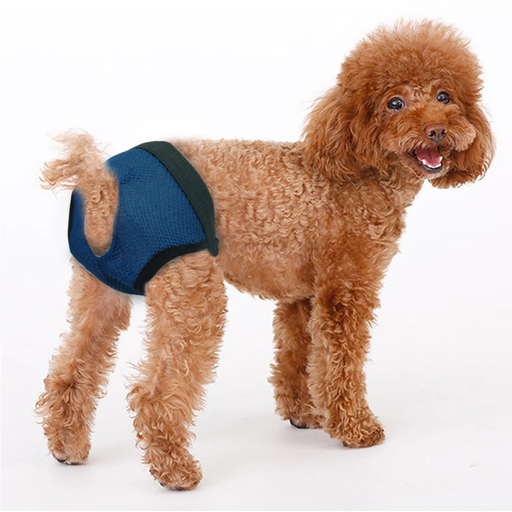 Pañales fisiológicos para perros, bragas sanitarias, pantalones cortos, accesorios para mascotas - imagen 5
