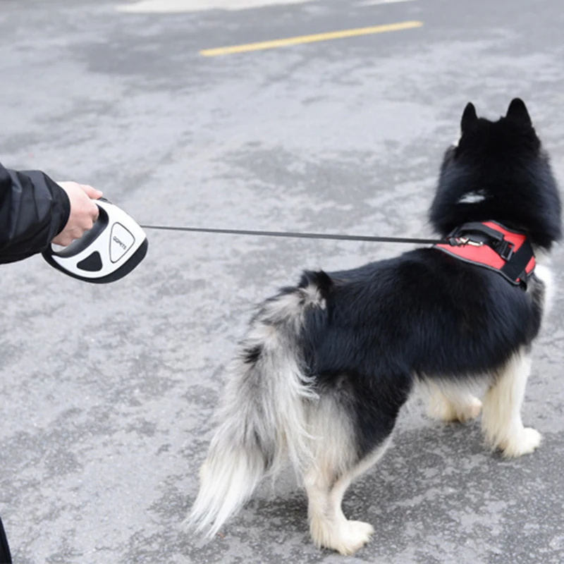 Correa retráctil LED sin batería para perros pequeños y grandes, cinturón automático para cachorros y perros grandes, para caminar, Pitbull Bull Terrier - imagen 5