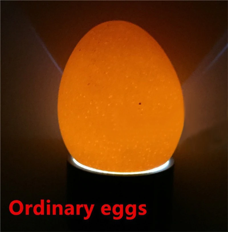 Incubadora Eggtester lámpara de vela de huevos 9 LED equipo de incubación súper fría herramienta de pollo LED Eggtester luz de huevo 1 pieza - imagen 5