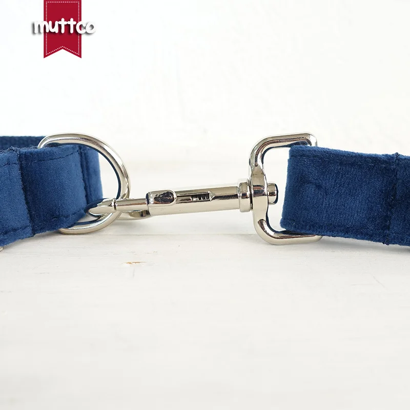 MUTTCO, etiqueta de identificación personalizada para mascotas, collar para perro, correa para el cuello grabada con zafiro, placa de identificación personalizada, productos para mascotas, 5 tamaños UDC078 - imagen 4