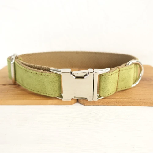 Dog Collar