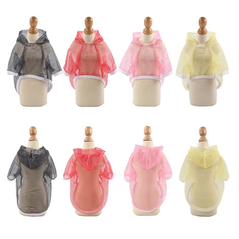 Perro con ropa de verano descansando al sol