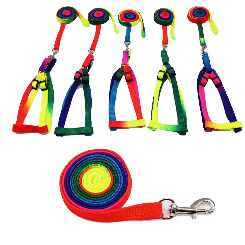 Collar de correa ajustable para perro, accesorios de nailon para cachorro, gato, arnés, correa de mano de Color arcoíris de plomo - imagen 3