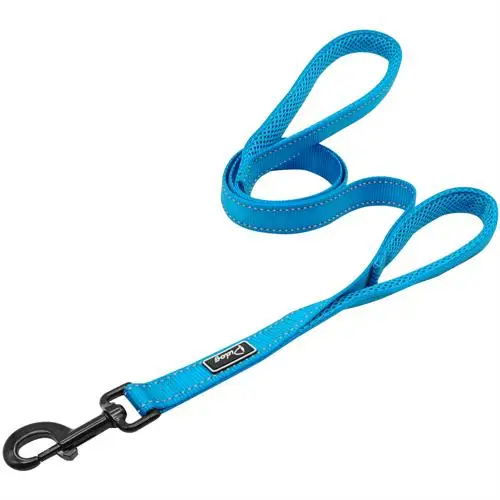 Blue Leash