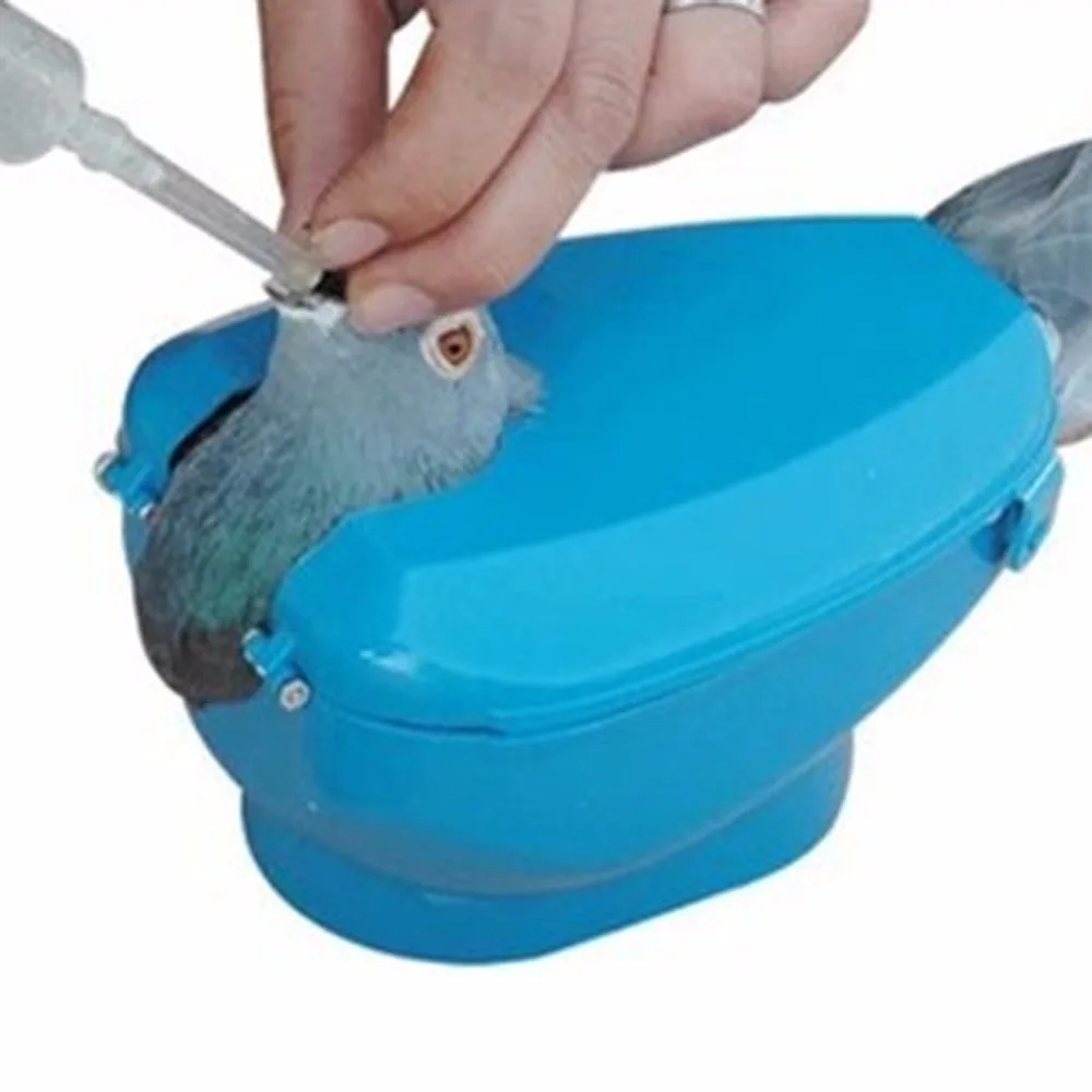 Soporte para palomas de carreras azul, para alimentación por inyección, montaje de vacunación, marco fijo para palomas, suministros para pájaros, herramientas para palomas, 1 ud. - imagen 4