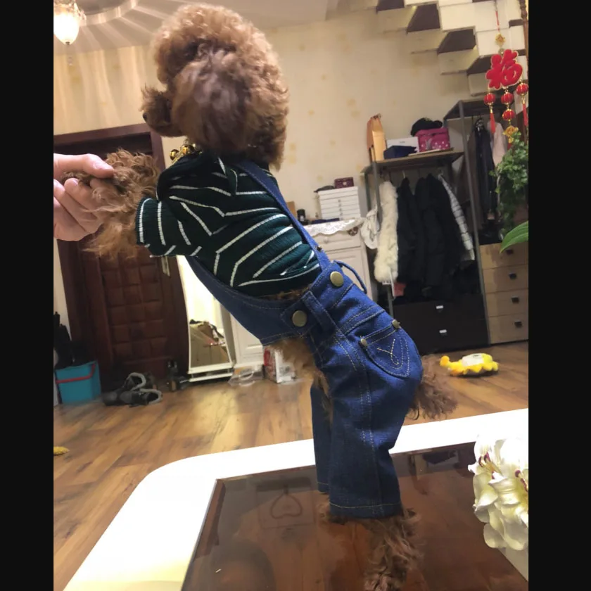 Mono vaquero para disfraces de perros, monos con tirantes de vaquero, ropa para perros, Bulldog Francés, Yorkshire Terrier, pantalones vaqueros para cachorros XL - imagen 4