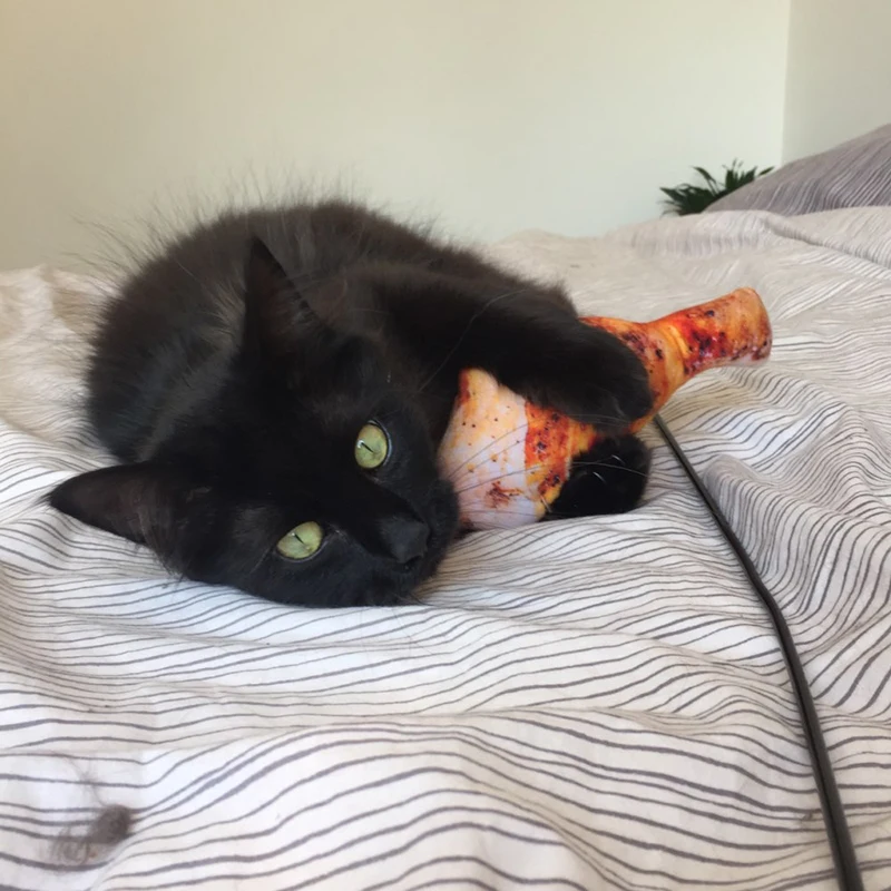 Juguetes chirriantes para gatos, hierba gatera, juguete de peluche para gatos, gatito Katten speelgoed gatos productos para mascotas 	 kedi malzemeleri - imagen 3