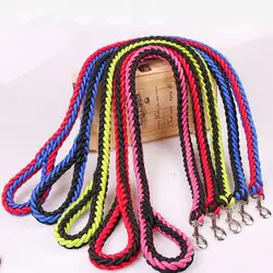 Correa de nailon con hebilla de hierro para perros grandes