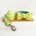 Bow Tie Collar Leash