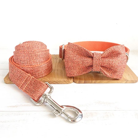 Bow Tie Collar Leash