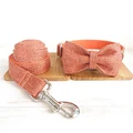 Bow Tie Collar Leash
