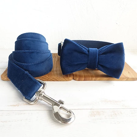 Bow Tie Collar Leash