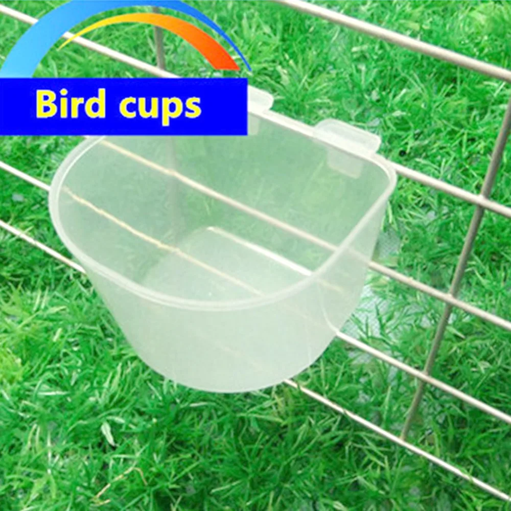 Cuenco de agua para aves, comederos de codorniz, equipo de Avicultura, pesebre, loro, palomas, 10 productos - imagen 2