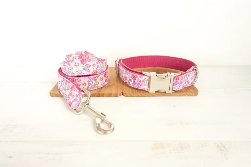 Dog Collar Leash Set