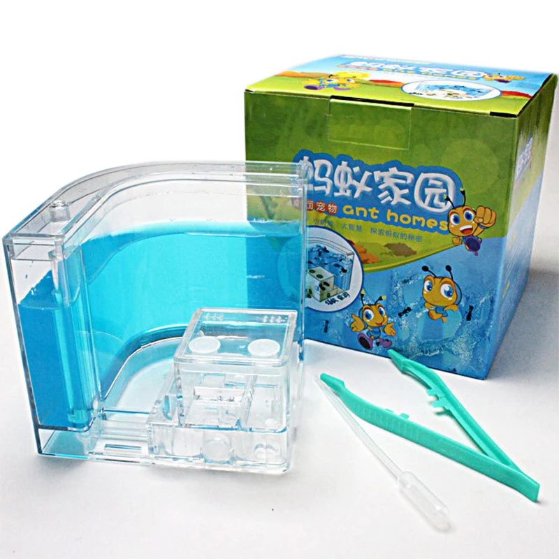 Acrylic Ants Farm Ants House Castle Colorful Insects Terrarium Ant Cage Insects Box Nursery Ecological Kid Educational Model Toy