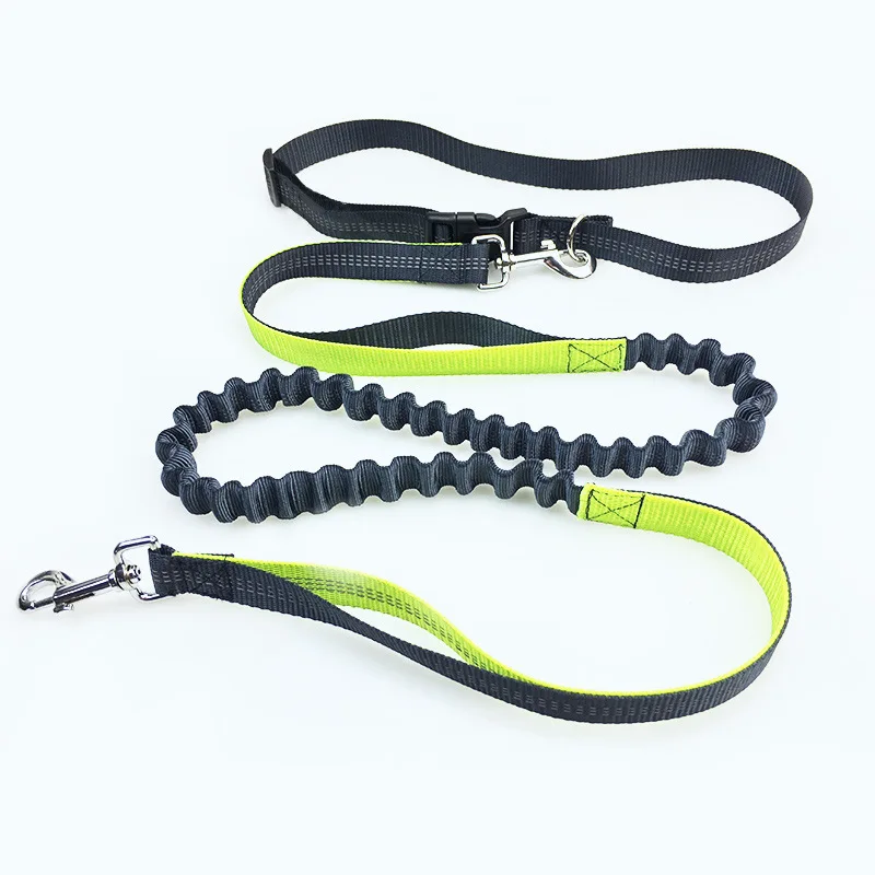 Correa elástica para caminar para perros pequeños, Collar de cuerda de alta calidad de 190x2,5 cm para cachorros, trotar y hacer deporte, ZL284-1 - imagen 5