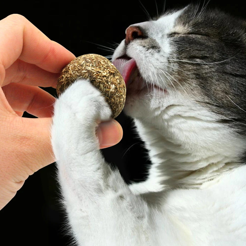 HTB1A4MLmL9TBuNjy1zbq6xpepXaO