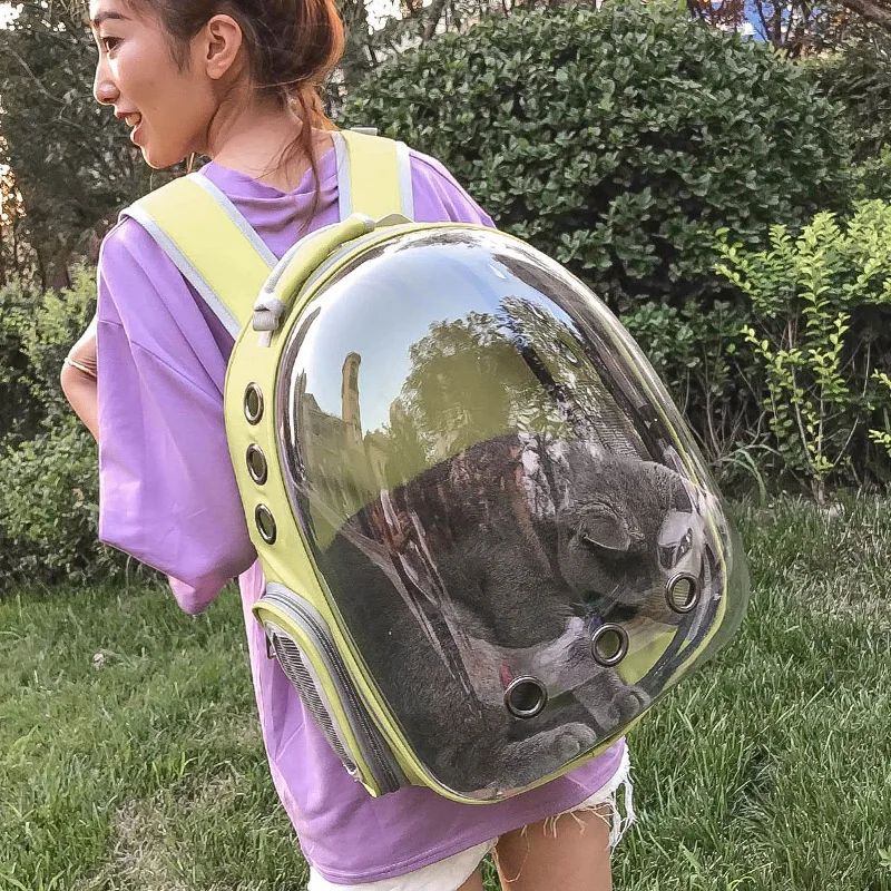 Bolsa de transporte transpirable para mascotas, mochila transparente para viajes al aire libre, bolsa de transporte para cachorros, gatos y conejos - imagen 5