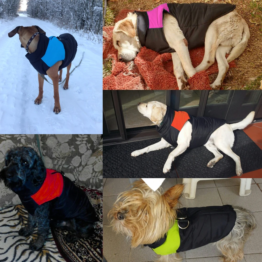 Ropa de otoño e invierno para perros - colores disponibles