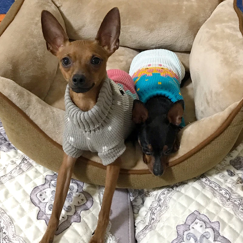 O1CN0105scvl1FhHeg3pMwe_!!0-rate