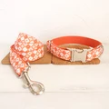 Dog Collar Leash Set